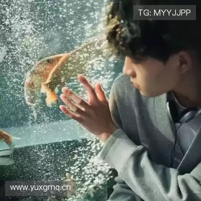 段裕孟